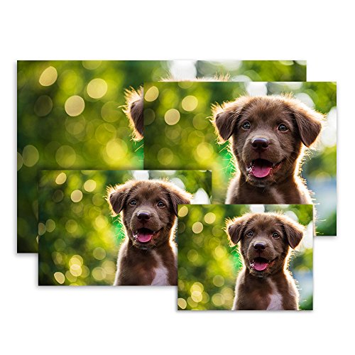 Photo Prints - Luster - Large Size (11x14)