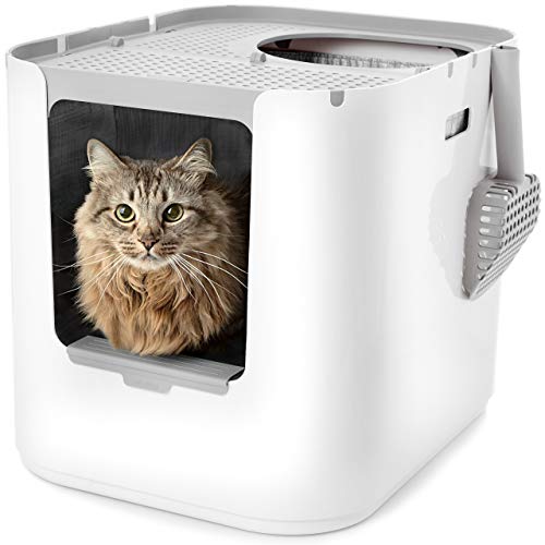 Modkat® XL Litter Box, Top or Front-Entry Configurable, Full Height Seamless Base, Reusable Litter Liners, Sifting Litter Scoop, 2X Bamboo Charcoal Filters - White