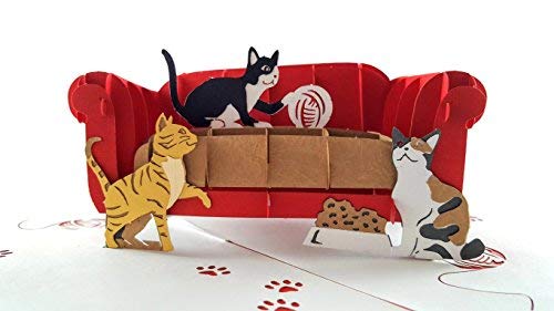 iGifts And Cards Funny Cats 3D Pop Up Greeting Card - Playful, Furry, Lovable, Pussycat, Active, Meow, Fun, Half-Fold, Happy Birthday, Just Because, Thinking of You, Anniversary, Retirement, Thank You