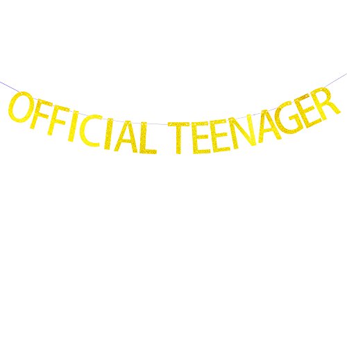 Succris Official teenager banner for 13th birthday party decorations