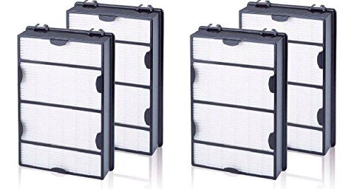 Nispira True HEPA Air Allergy Filter Replacement Compatible with Holmes HAPF600 HAPF600D HAPF600D-U2 Filter B, 4 Filters