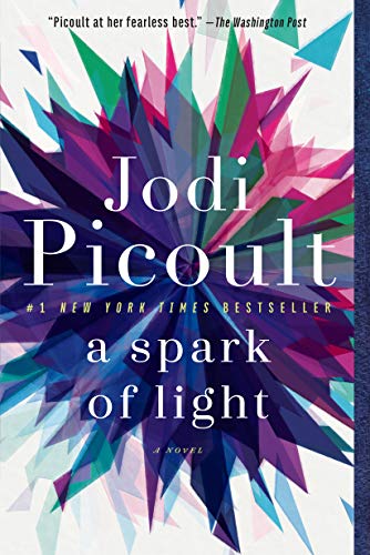 Book Cover A Spark of Light: A Novel