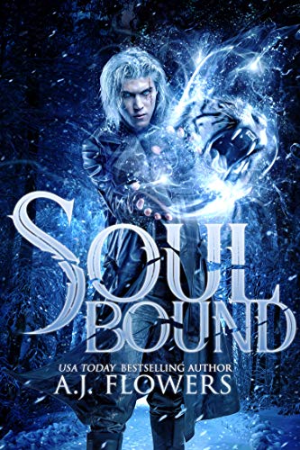 Book Cover Soul Bound (Dweller Saga Book 1)