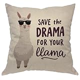 Llama Pillow Case Cute Alpaca with Glasses with Lettering Quote Save The Dream for Your Llama Throw Pillow Case 18" x 18" Inch Cotton Linen Cushion Cover for Men Women Kids White
