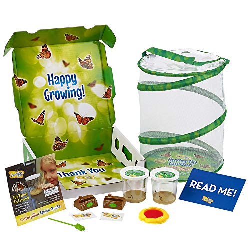 Book Cover Insect Lore Deluxe Butterfly Garden with 2 Live Cups of Caterpillars & Feeding Kit