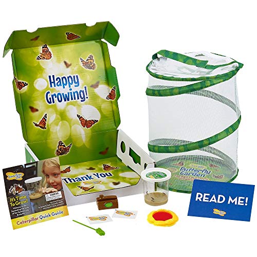 Book Cover Insect Lore Deluxe Butterfly Garden with Live Cup of Caterpillars & Feeding Habitat Kit