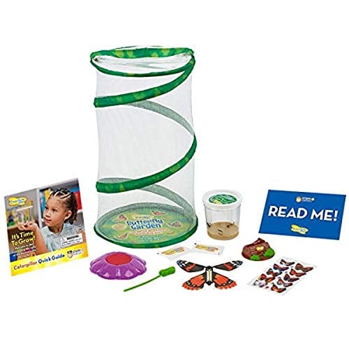 Book Cover Insect Lore Deluxe Butterfly Garden Gift Set with Live Cup of Caterpillars Habitat