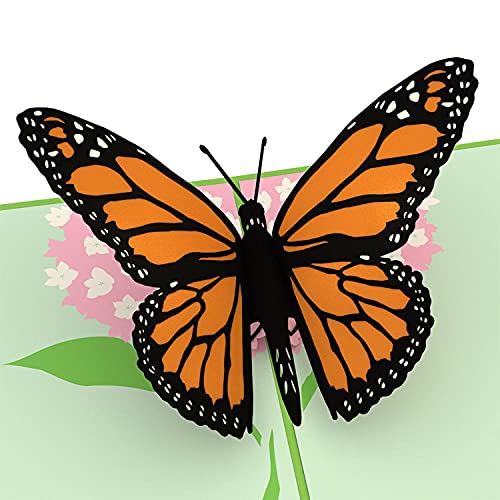 Lovepop Butterfly Pop Up Card, 5x7 - 3D Greeting Card, Mother's Day Card, Card for Wife or Mom, Anniversary Pop Up Card, Pop Up Birthday Card