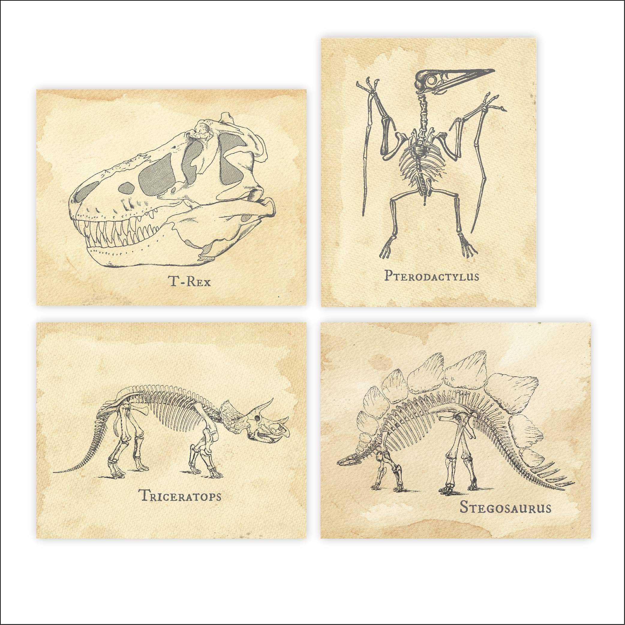 Book Cover Dinosaur Bedroom Wall Decor Art Prints (Set of 4) - Unframed - 8x10s