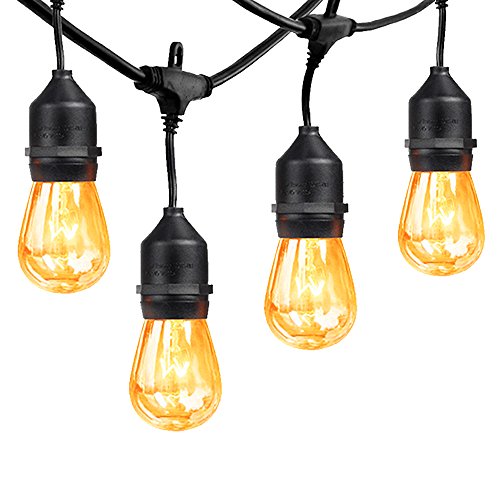 MZD8391 [Heavy Duty 48FT Commercial Grade Waterproof Outdoor Globe String Light, 18 Hanging Socket, 21 Dimmable Edison Vintage Bulb, for Backyard Patio, Garden