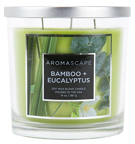 Aromascape PT40499 3-Wick Scented Jar Candle, Bamboo & Eucalyptus,14 Ounce