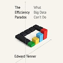 Book Cover The Efficiency Paradox: What Big Data Can't Do