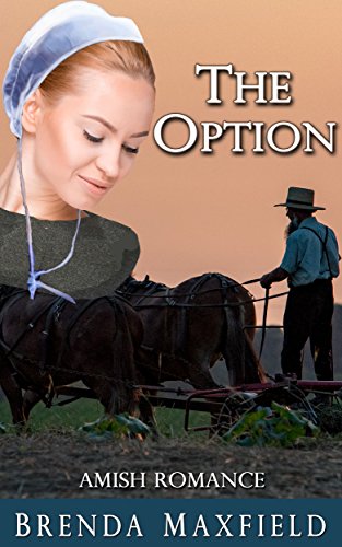 Book Cover The Option (Ruby's Story Book 2)