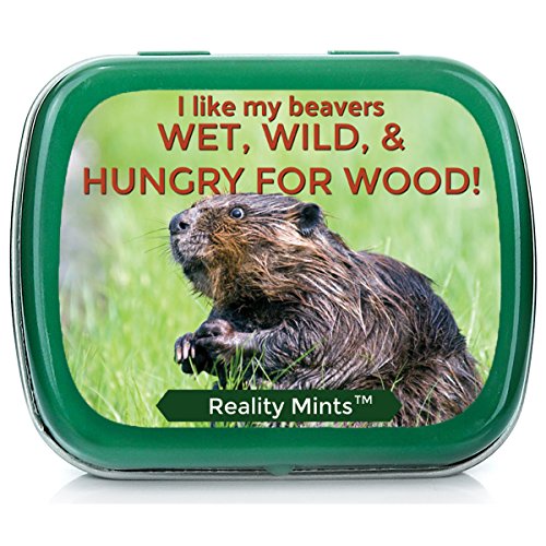 I Like Beavers Mints for Friends Easter Gifts for Adult Naughty Stocking Stuffers Best Friend Novelty Gifts for Men Peppermint Breath Mints I Love Beaver Gag Gifts Weird White Elephant IDE