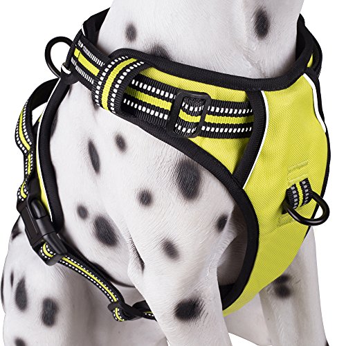 PoyPet No Pull Dog Harness, Reflective Vest Harness with 2 Leash Attachments and Easy Control Handle(Green,L)