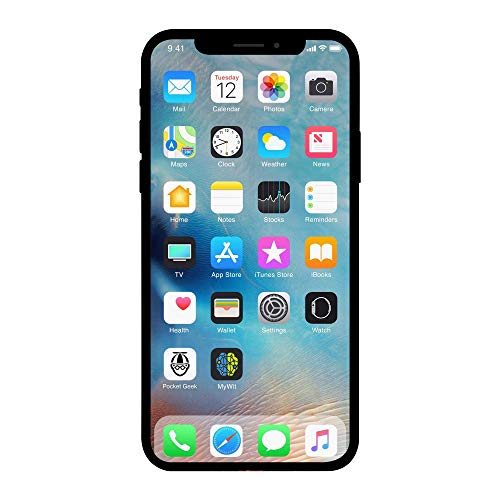 Apple iPhone X, 64GB, Silver- Fully Unlocked (Renewed)