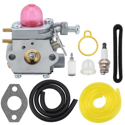 Hipa WT-973 Carburetor for Murray M2500 M2510 Remington RM2510 RM2560 H2500 RM2599 M2550 RM2570 RM2520 String Trimmer Brushcutter