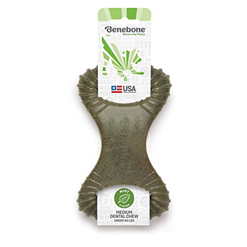 Benebone Dental Dog Chew Toy for Aggressive Chewers, Long Lasting, Made in USA, Medium, Real Mint Flavor