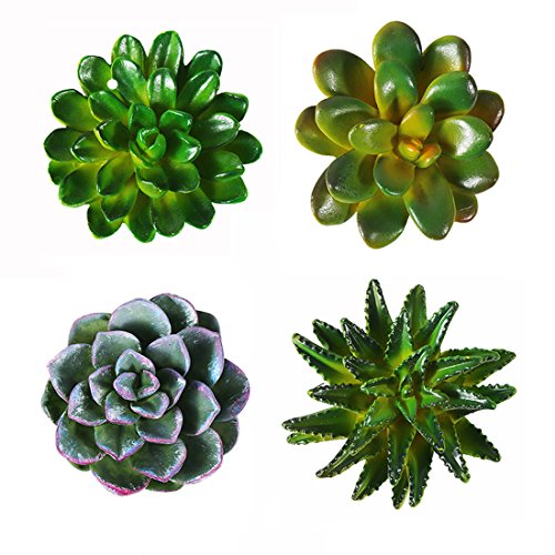 CoCoMe Funny 3D Resin Succulent Fridge Refrigerator Magnets Good Gift for Kid Friends