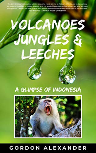 Book Cover Volcanoes, Jungles and Leeches: A Glimpse of Indonesia