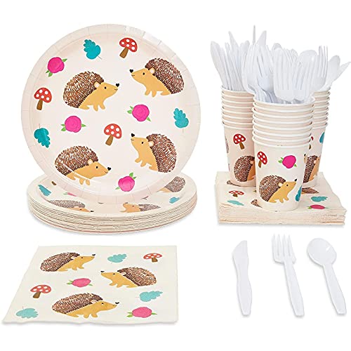 Hedgehog Birthday Party Bundle, Includes Plates, Napkins, Cups, and Cutlery (24 Guests,144 Pieces)