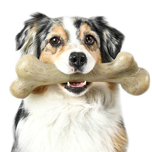 Pet Qwerks Real Bacon Infused Dinosaur BarkBone - Durable Dog Toy for Aggressive Chewers, Tough Indestructible Power Chewer Bones | Made in USA, FDA Compliant Nylon - XXXLarge for Large Breed Dogs