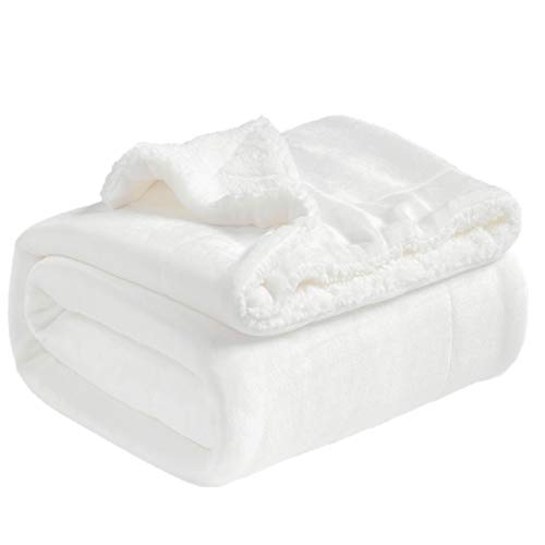 BEDSURE Sherpa Fleece Blanket Queen Size(Not Electrical) Purple Plum Eggplant Plush Blanket Fuzzy Soft Blanket Microfiber