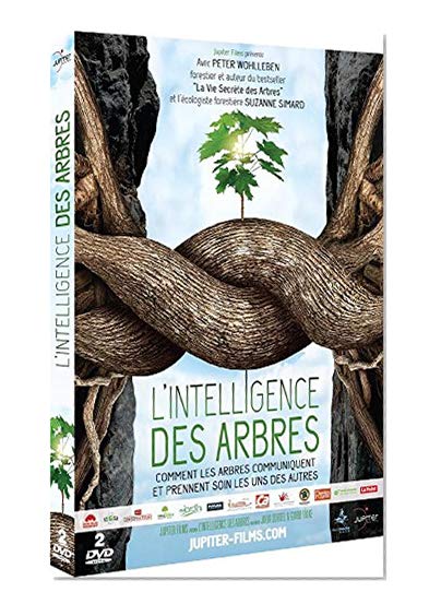 L'Intelligence des arbres