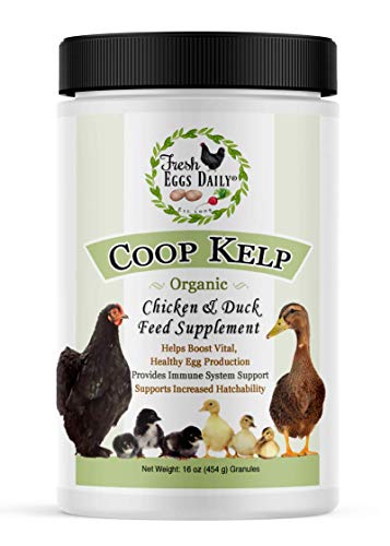 Book Cover Fresh Eggs Daily Coop Kelp Organic Chicken and Duck Feed Supplement 1LB
