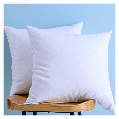 LunarTex Set of 2, Cotton Fabric Pillow Inserts, Down and Feather Throw Pillow Insert, 22X22 Inches