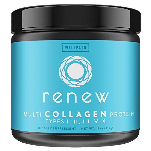 Book Cover Renew Multi Collagen Protein Powder - 5 Types of Collagen - Hydrolyzed Grass-Fed Bovine, Marine, Chicken and Egg Collagen Peptides - Type I, II, III, V, and X - Keto Friendly Supplement