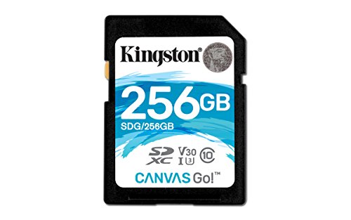 Kingston Digital Canvas Go 256GB SDXC Class 10 SD Memory Card UHS-I 90MB/s R 45MB/s (SDG/256GB) Blue