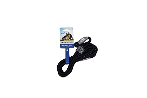 Cesar Millan Slip Lead Leash - Slip Collar Training Lead Gives You Greater Control and The Ability to Make Quick and Gentle Corrections (48" Large/XL, Black)