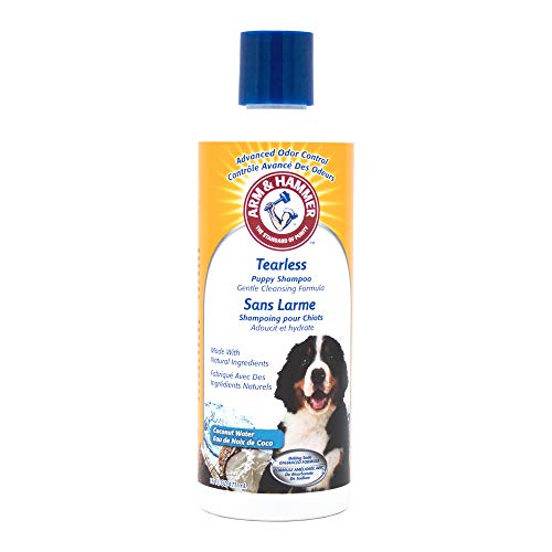 Arm & Hammer for Pets Tearless Puppy Shampoo | Gentle & Effective Tearless Shampoo for Puppies & All Dogs | Coconut Water Scent Your Dog Will Love, 20 Ounces - 1 Pack Puppy or Dog Shampoo