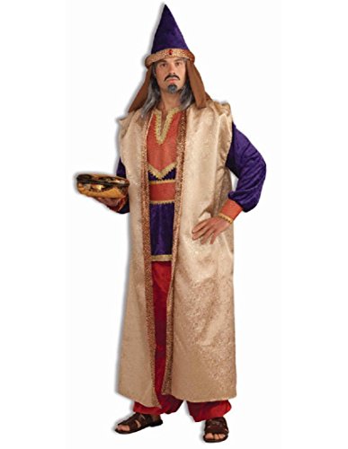 Forum Novelties Men's Garnet Wiseman Costume
