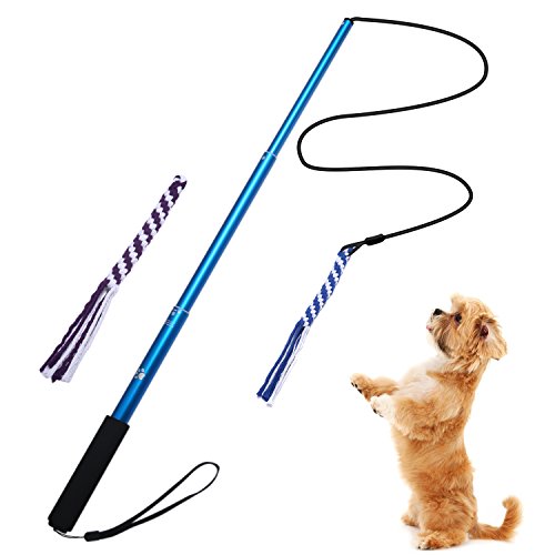 ANG Dog Flirt Pole,Extendable Dog Teaser Wand with 2 Replacement Chew Tail Ropes,Interactive Dog Outdoor Toy for Chasing, Chewing, Teasing, Training (Blue-Small)
