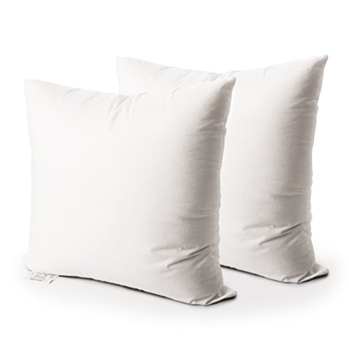 Book Cover Edow Throw Pillow Insert, Set of 2 Down Alternative Polyester Square Form Decorative Pillow, Cushion,Sham Stuffer. (White, 18x18)