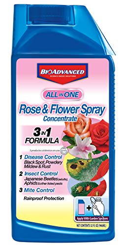 Book Cover BioAdvanced All-in-One Rose and Flower Spray, Concentrate, 32 oz