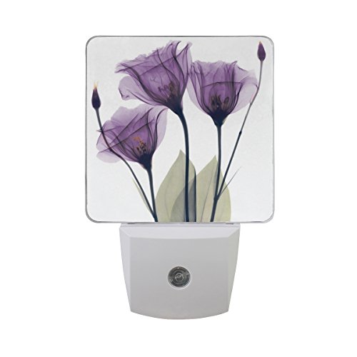 2 Pack Plug-in LED Night Light Lamp with Light Sensor, Lavender Hope Flowers Daylight White for Bedroom, Bathroom, Hallway, Stairways, 0.5W, Purple
