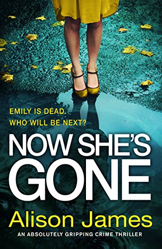 Book Cover Now She's Gone: An absolutely gripping crime thriller (Detective Rachel Prince Book 2)