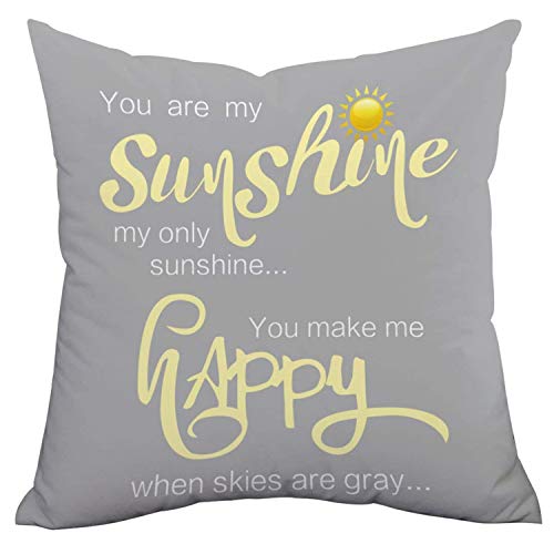 Book Cover Decorative Pillow Case You Are My Sunshine & You Make Me Happy Throw Pillow Covers Inspirational Quotes Square Cushion Covers Zippered Gray Pillowcase Home Decor for Sofa Bed Bench Car 18 x 18 Inch