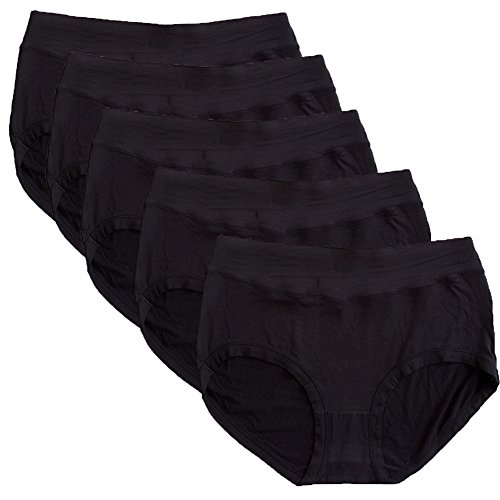 Warm Sun Women's Bamboo Viscose Fiber Multi Pack Plus Size Stretchy Soft Breathable High Middle Waist Panties Size S-3XL