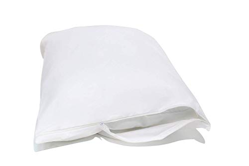 Book Cover National Allergy Queen 2 Pack Allergy and Bed Bug Proof Pillow Cover, White 2 Count