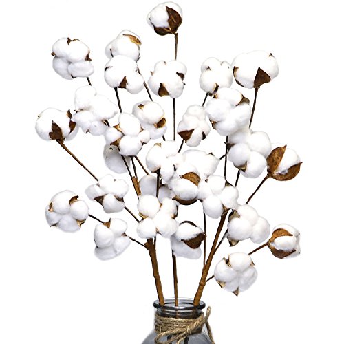 Coceca Cotton Stems - 3 Pack 10 Balls Per Stem - 23 Inch Farmhouse Display Filler-Foral Decoration