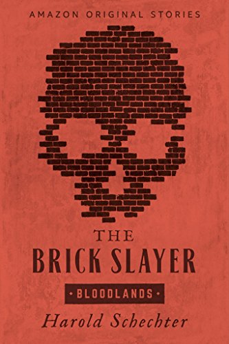 Book Cover The Brick Slayer (Bloodlands collection)