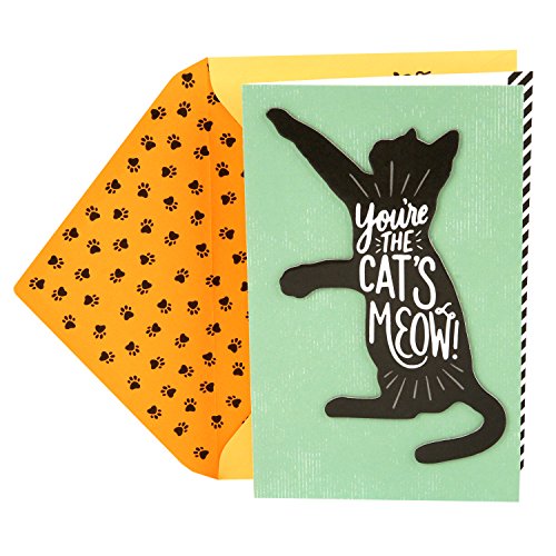 Hallmark Birthday Greeting Card from the Cat (Cat's Meow)