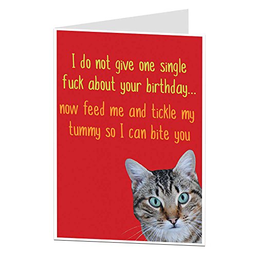 Funny Birthday Card Cat Pet Theme Rude Offensive Perfect For Owner Lover Men & Women
