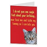 Funny Birthday Card Cat Pet Theme Rude Offensive Perfect For Owner Lover Men & Women