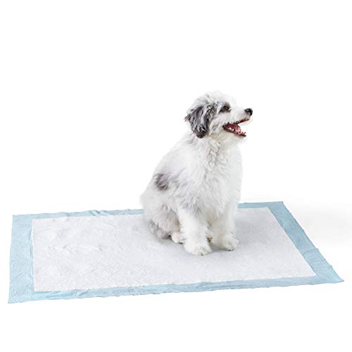 AmazonBasics Heavy Duty Pet and Puppy Training Pads, XL -50-Count