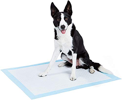 Book Cover AmazonBasics Dog and Puppy Pee, Heavy Duty Absorbency Potty Training Pads with Leak-proof Design and Quick-dry Surface, Heavy Duty X-Large (28 x 34) - Pack of 25